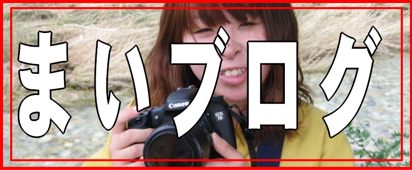まいブログへ